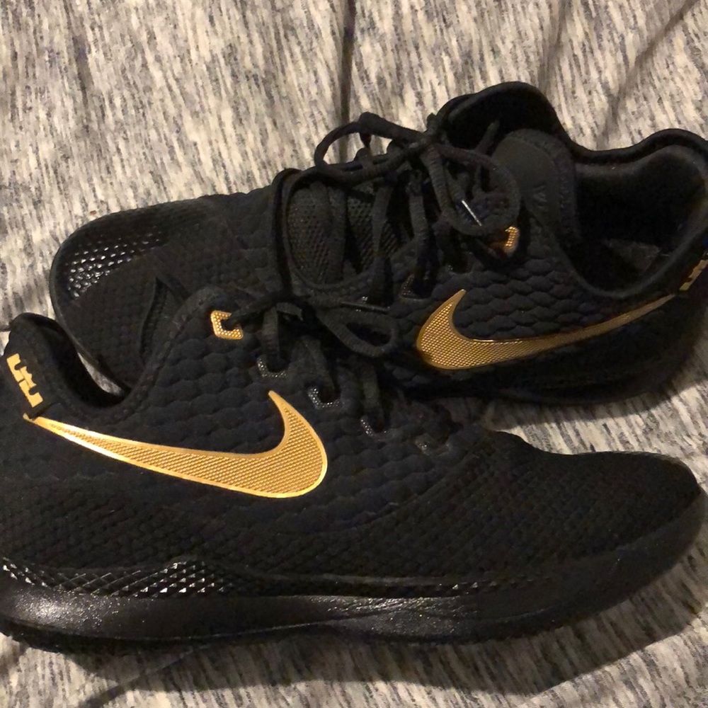 Nike Lebron James basketball shoes